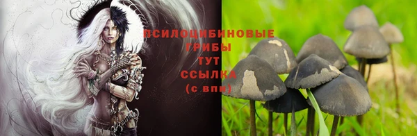 стаф Балабаново