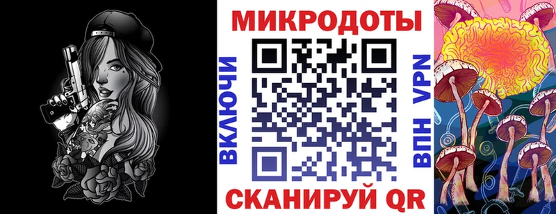 Псилоцибиновые грибы Cubensis  Хилок 